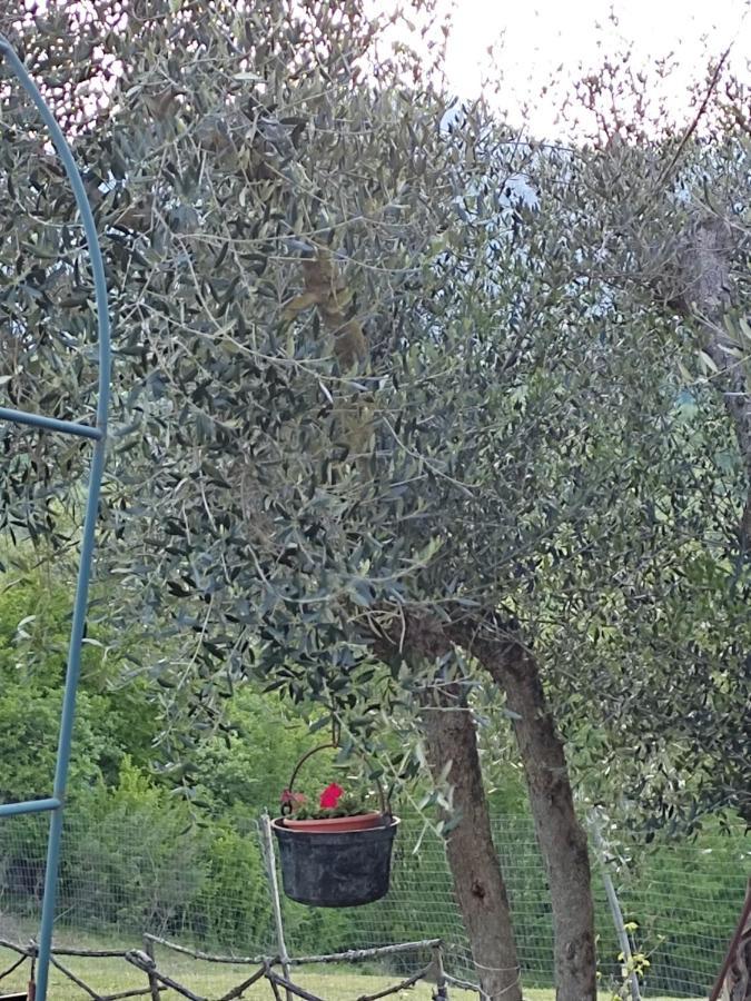La Masseria Di Antonio E Teresina Colli a Volturno Eksteriør billede