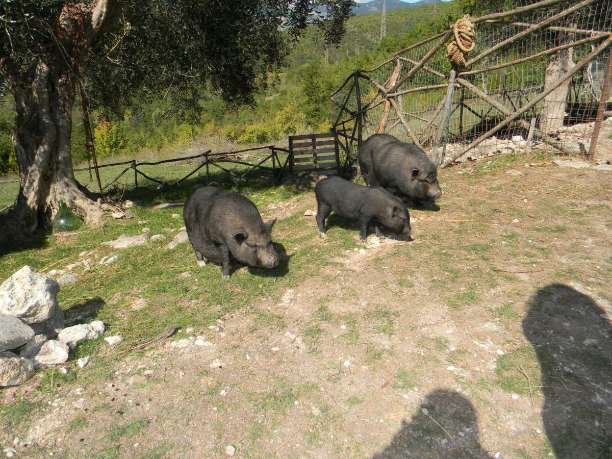 La Masseria Di Antonio E Teresina Colli a Volturno Eksteriør billede