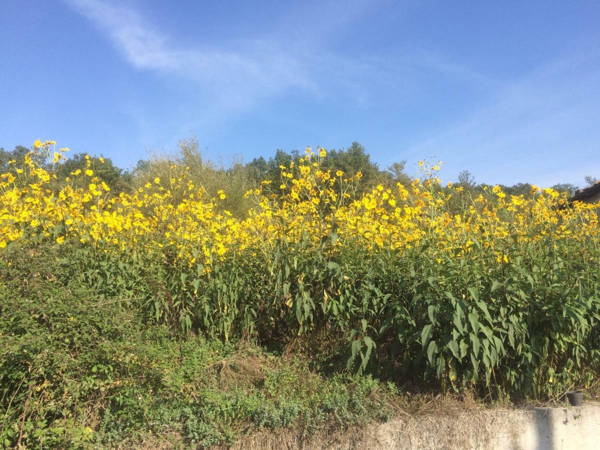 La Masseria Di Antonio E Teresina Colli a Volturno Eksteriør billede